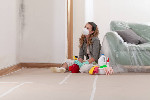 Reliable Mold Cleanup contractor in Montgomeryville, PA by WQB Mold Removal